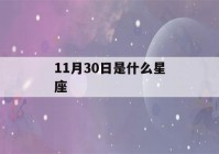 11月30日是什么星座(射手座)