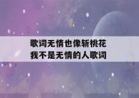 歌词无情也像斩桃花 我不是无情的人歌词