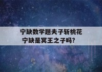 宁缺数学题夫子斩桃花 宁缺是冥王之子吗?