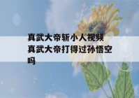 真武大帝斩小人视频 真武大帝打得过孙悟空吗