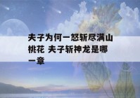 夫子为何一怒斩尽满山桃花 夫子斩神龙是哪一章