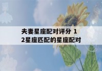 夫妻星座配对评分 12星座匹配的星座配对