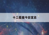 十二星座今日宜忌(十二星座日期好吗)