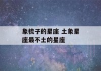 象梳子的星座 土象星座最不土的星座