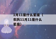 1月11是什么星座（农历11月11是什么星座）