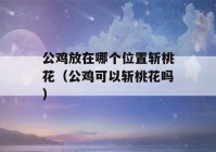 公鸡放在哪个位置斩桃花（公鸡可以斩桃花吗）