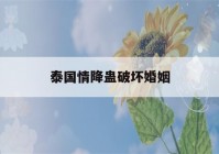 泰国情降蛊破坏婚姻