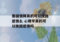 泰国情降真的可以挽回感情么 心理学真的可以挽回感情吗