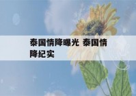 泰国情降曝光 泰国情降纪实