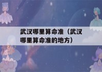 武汉哪里看八字准（武汉哪里看八字准的地方）