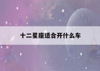 十二星座适合开什么车(十二星座适合开什么车视频)