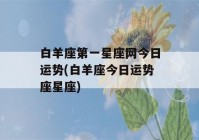 白羊座第一星座网今日运势(白羊座今日运势座星座)