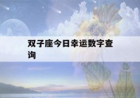 双子座今日幸运数字查询(双子座幸运数字今天)