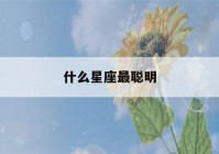 什么星座最聪明(十二星座什么星座最聪明)