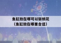 鱼缸放在哪可以斩桃花（鱼缸放在哪里合适）