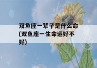 双鱼座一辈子是什么命(双鱼座一生命运好不好)