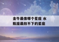 金牛最像哪个星座 水瓶座最放不下的星座