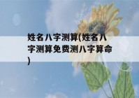 姓名八字测算(姓名八字测算免费测八字看八字)