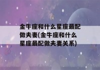 金牛座和什么星座最配做夫妻(金牛座和什么星座最配做夫妻关系)