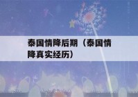 泰国情降后期（泰国情降真实经历）