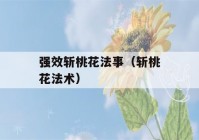 强效斩桃花法事（斩桃花法术）