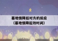 墓地情降后对方的反应（墓地情降起效时间）