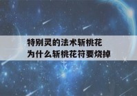 特别灵的法术斩桃花 为什么斩桃花符要烧掉