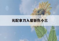 元配拿刀入屋斩伤小三