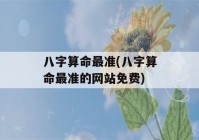 八字看八字最准(八字看八字最准的网站免费)