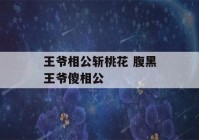 王爷相公斩桃花 腹黑王爷傻相公