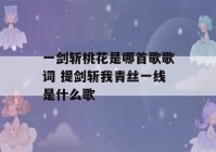 一剑斩桃花是哪首歌歌词 提剑斩我青丝一线是什么歌