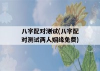 八字配对测试(八字配对测试两人姻缘免费)