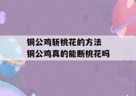 铜公鸡斩桃花的方法 铜公鸡真的能断桃花吗