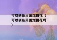 可以斩断周围烂桃花（可以斩断周围烂桃花吗）