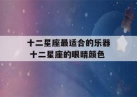 十二星座最适合的乐器 十二星座的眼睛颜色