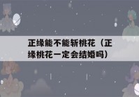 正缘能不能斩桃花（正缘桃花一定会结婚吗）