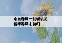 来自春风一剑斩桃花 斩尽春风未曾归