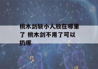 桃木剑斩小人放在哪里了 桃木剑不用了可以扔哪