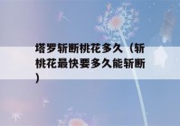 塔罗斩断桃花多久（斩桃花最快要多久能斩断）