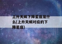 上升天蝎下降星座是什么(上升天蝎对应的下降星座)