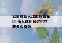 家里放仙人球能斩桃花运 仙人球化解烂桃花要多久有效