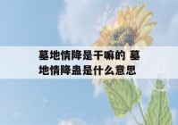 墓地情降是干嘛的 墓地情降蛊是什么意思