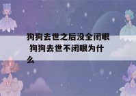 狗狗去世之后没全闭眼 狗狗去世不闭眼为什么