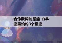 合作默契的星座 白羊座最怕的3个星座