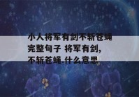 小人将军有剑不斩苍蝇完整句子 将军有剑,不斩苍蝇.什么意思