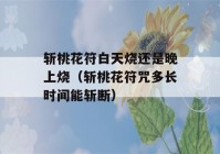 斩桃花符白天烧还是晚上烧（斩桃花符咒多长时间能斩断）