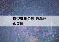 刘烨安娜星座 黄磊什么星座