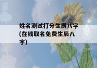 姓名测试打分生辰八字(在线取名免费生辰八字)