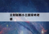 立刻斩断小三回家哄老婆