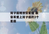 双子座理想型星座 最容易爱上双子座的3个星座